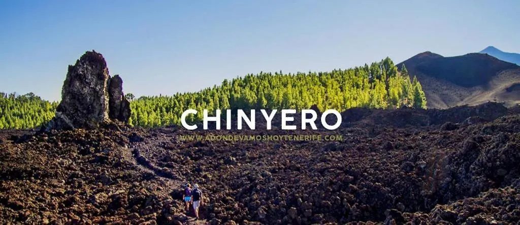 Volcan Chinyero Cuevas del Palmar
